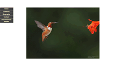 Desktop Screenshot of naturepixels.com