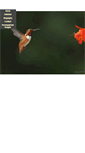 Mobile Screenshot of naturepixels.com